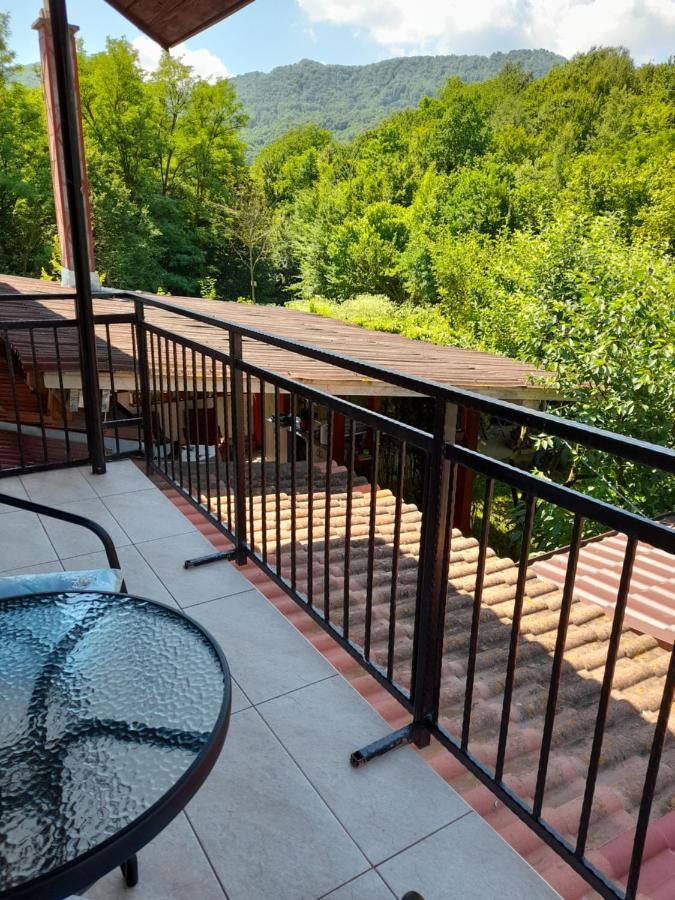 Casa Zoe Seaca Villa Călimăneşti Kültér fotó